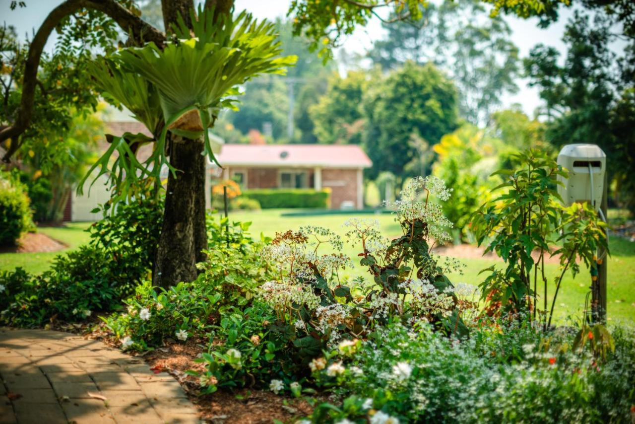 Alarks Nest Bed And Breakfast Boambee Exterior foto
