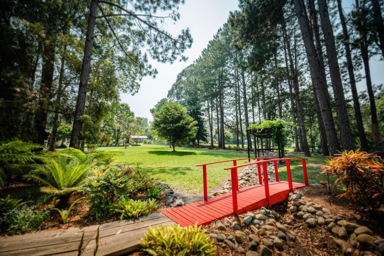 Alarks Nest Bed And Breakfast Boambee Exterior foto