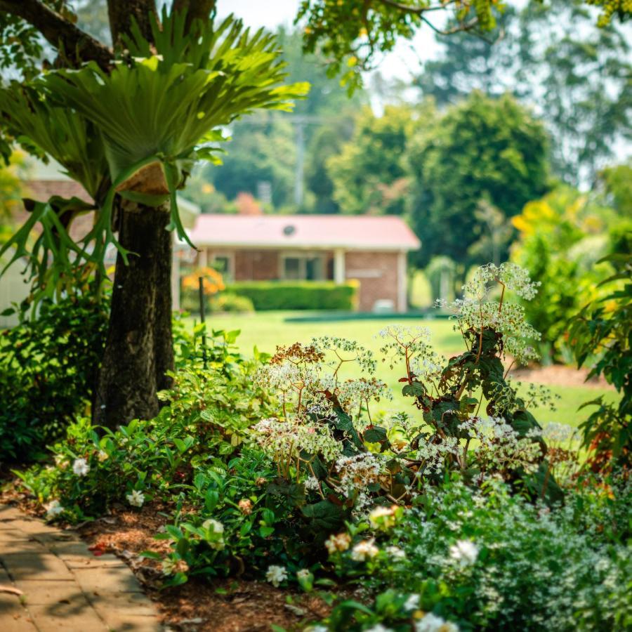 Alarks Nest Bed And Breakfast Boambee Exterior foto